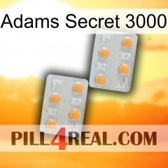 Adams Secret 3000 25